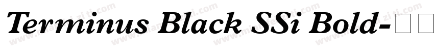 Terminus Black SSi Bold字体转换